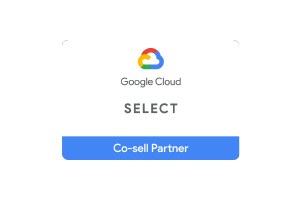 Google Select Co-sell Partner